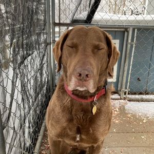 Meet your Posher, Brielle